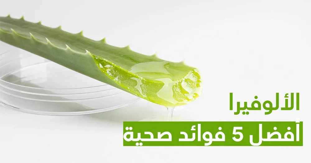 الألوفيرا أفضل 5 فوائد صحية